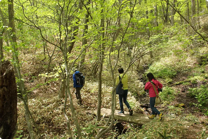 图像： 那须平成之森